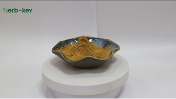 Salvia Miltiorrhiza Extract,