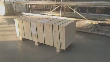 x ray lead gloves delivery