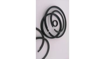 piston ring