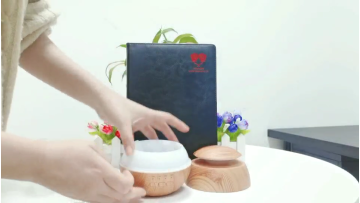 Hot Selling Home  Air Ultrasonic Humidifier fragrance Diffuser Mini  Diffuser fragrance Air Humidifier1