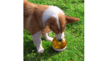 SUNSUN Visualized Sphere Interactive IQ Training Cat Toy Funny Pet Training Tool Cat Leaking Food Feeder Educational Tumbler Toy1