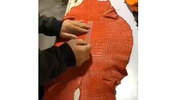 crocodile leather