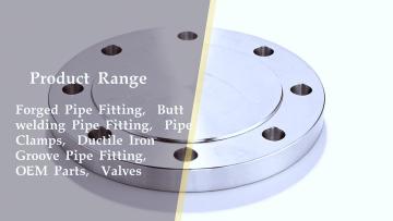 Stainless Steel Plate Flange