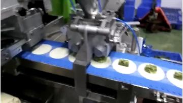 Automatic Stuffing Dividing Machine