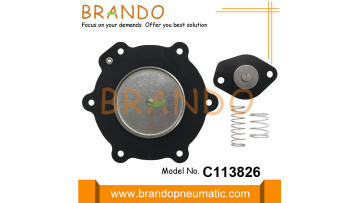 C113826 Diaphragm