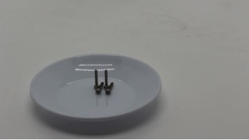 GB70.1 M2*12 SUS 304 white washed cylindrical head hexagon socket machine screw (without knurling)