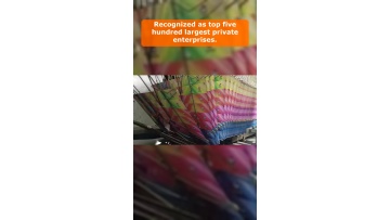 Video 2