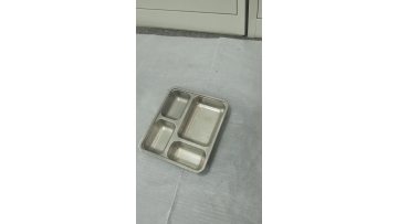 Stainless steel dinner plate
