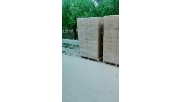 Deliver 616.mp4