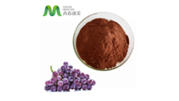 Natural Antioxidant Grape Seeds Extract1