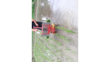 Manual Rice Transplanter Working Video.mp4