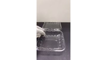 Blueberry Fruit Packaging