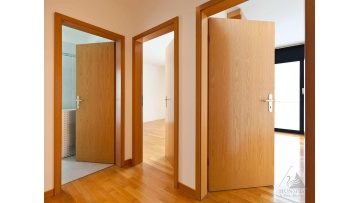 flush door display