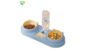 dog bowl