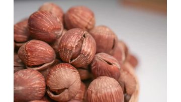 208g Flavor Open Hazelnuts