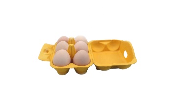 Eco-friendly water-proof paper pulp 6 chicken and duck goose eggs carton tray1