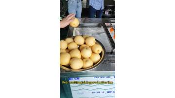 Pear washing and juicing production line