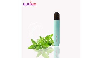 China 2022 Wholesale Top Quality CE Certification USB Charging 2ml Liquid Capacity Green Color Refiling Electronic Cigarette - China Electronic Cigarette, Vape