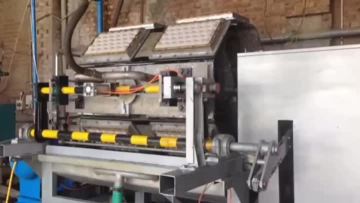fruit tray molding equipment