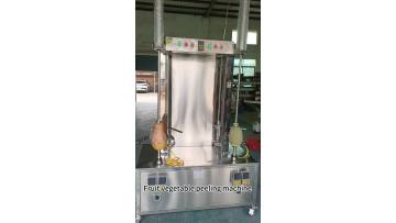 Fruit and vegetable peeling machine