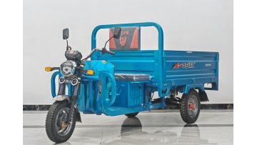 Electric Tricycle With Steel Bottom
