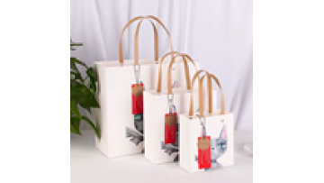 Wholesale Eco Friendly Shipping Packaging White Cardboard Paper Bags With Handle1