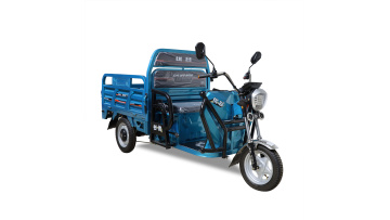Cargo electric tricycle LB-co9