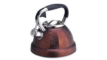 Brown pattern spray paint whistling kettle FH-395