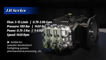 LB Series 316 Stainless Steel Plunger Pump