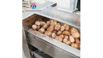 TS-M600 Industrial carrot washing machine