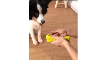 TREAT BONE TOY