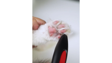 High Quality Pet Grooming Kit Cordless Electric Ear Eyes Pet Hair Clippers For Dog1