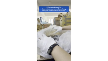 Video 1