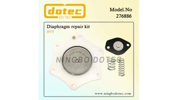 276886 diaphragm