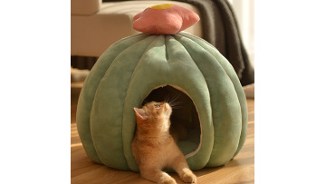 Pet Cat House