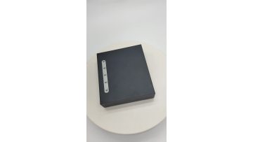 E/GPON 1GE ONU-FZ
