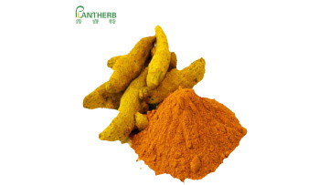 Curcumin 95 powder 