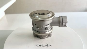 9036 Air Injection Check Valve