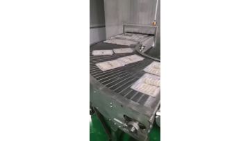 Spiral freezer for shrimp outlet