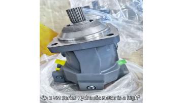 A6VM Series Hydraulic Motor