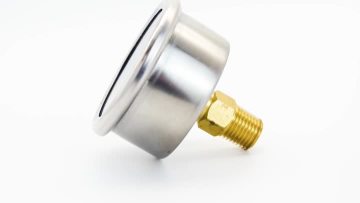 1pressure gauge