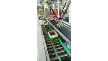 bag package spider robot case packer  