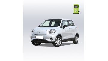 leapmotor T03 car
