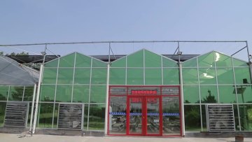 Winter Used Agricultural Commercial Glass Greenhouse for Tomato Plant1