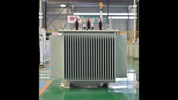 Oil immersible transformer 1250