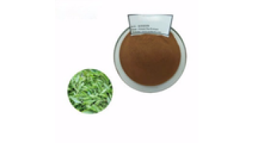 100% Instant Organic White Green Tea Extract Powder 95%1