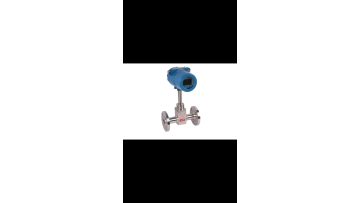 Thermal Gas Mass Flow Meter