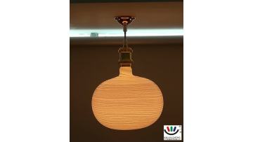 painting led bulb