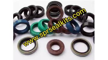 Hydraulic seal (11)