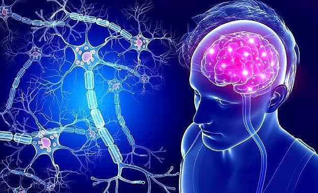人类大脑开发100%会不会使用超自然力量？-大脑超自然科学技术生物学互联网